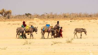 Photo of From the Field: Ethiopia’s worst drought threatens ‘deadly consequences’ for women
