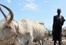 Photo of FAO ramps up support to Sudan farmers as starvation threat grows in East Africa