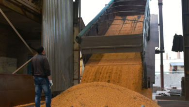 Photo of Глава ООН приветствовал прогресс на переговорах о вывозе зерна из Украины