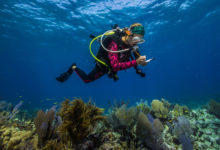 Photo of Научные исследования крайне важны для сохранения богатств мирового океана