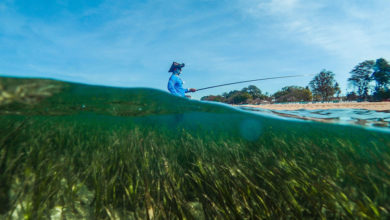 Photo of Sustainable blue economy vital for small countries and coastal populations