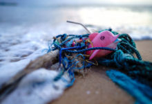 Photo of Борьба с загрязнением морской среды: ответственное поведение каждого – ключ к восстановлению океана