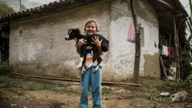 Photo of Colombia: New government urged to combat rising violence in rural areas