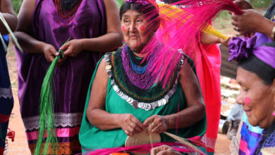 Photo of Indigenous women’s work to preserve traditional knowledge celebrated on International Day