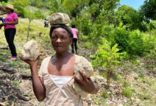 Photo of Building a more resilient post-earthquake future in Haiti