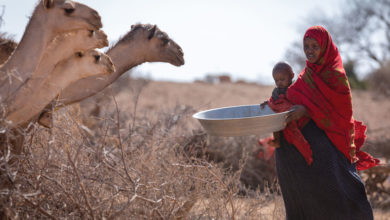 Photo of Засуха в Африке: «в шаге от катастрофы»