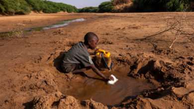 Photo of Из-за сильной засухи миллион жителей Сомали стали перемещенными лицами 