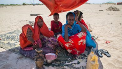 Photo of ООН призвала поддержать жертв катастрофической засухи в Сомали